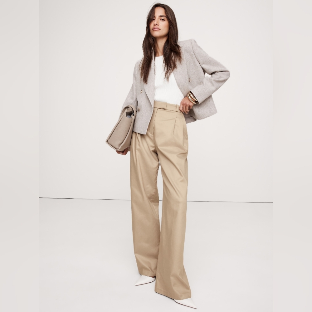 Banana Republic Carmel Pleated Wide-Leg Pant River Bank Tan - Picture 2 of 4
